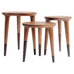 Minimalist Modern Side Tables Set in Tropical Hardwood 