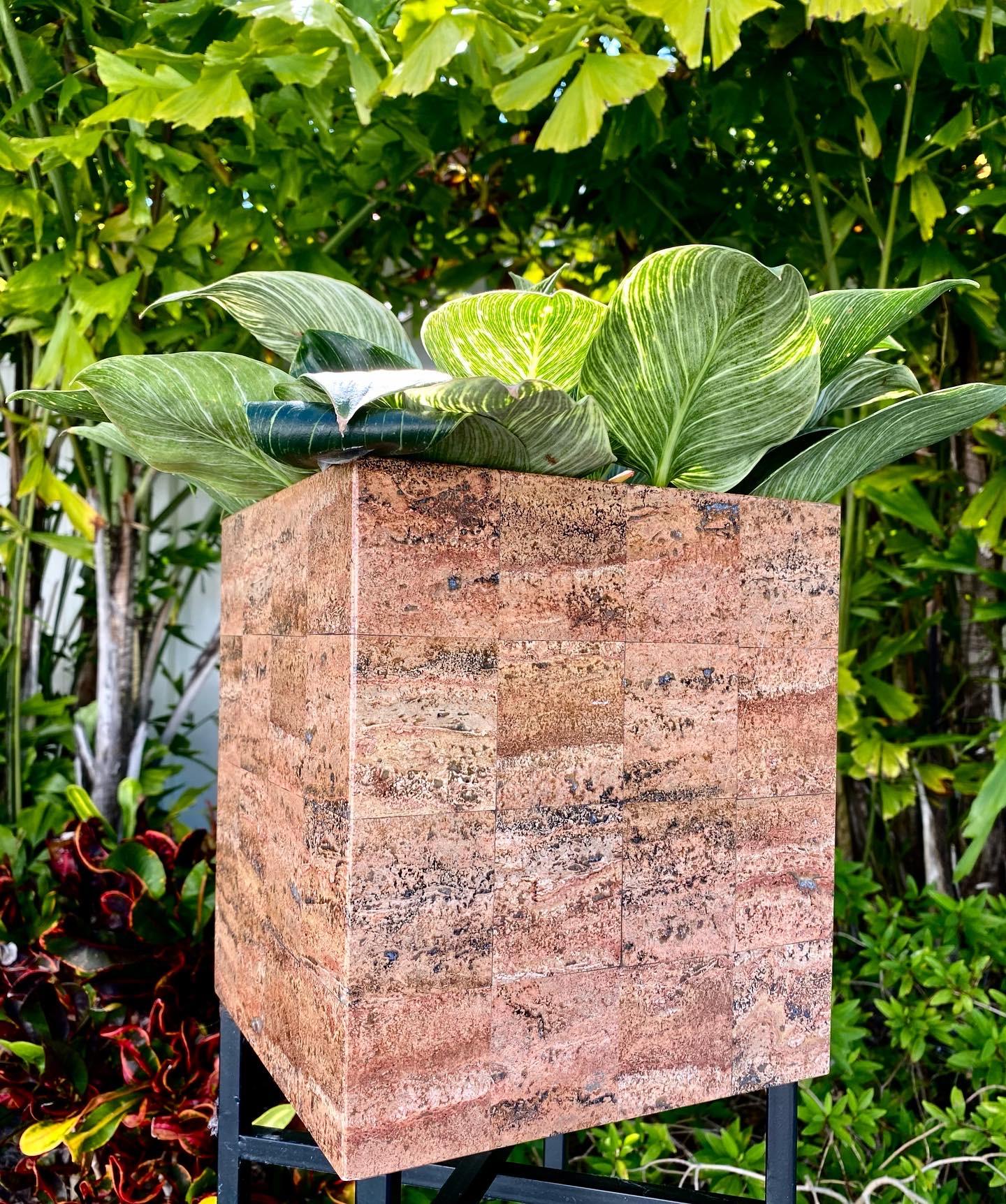 20th Century Minimalist Modernist Red Travertine Cube Form Planter Vessel For Sale