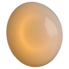 Lampada da parete o soffitto Semisferma minimalista di Elio Martinelli, anni '70