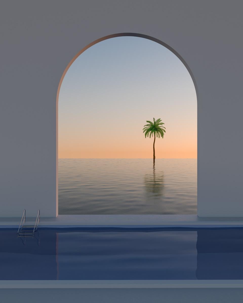Landscape Photograph di Minjin-Mijoo - Albero di palma