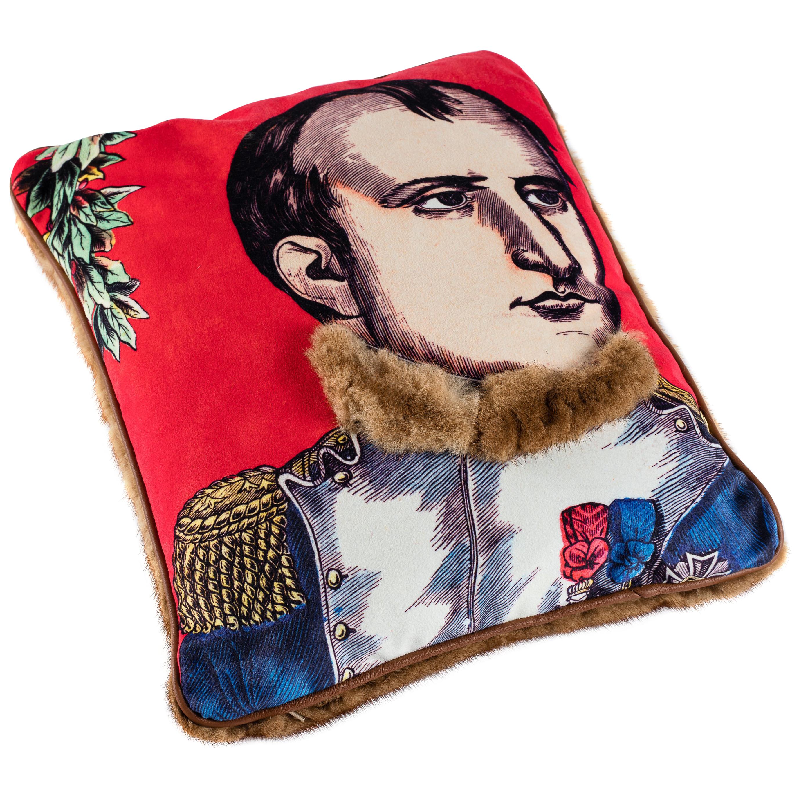 Mink and Velvet Pillow, Printed Napoleon For Sale