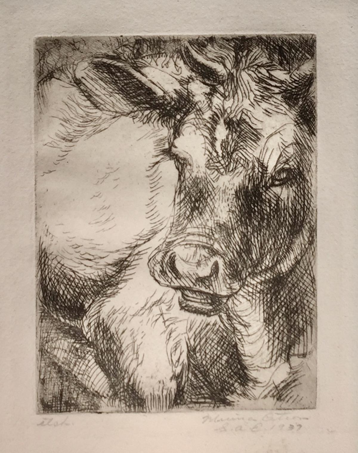 This subject, Heifer,  relates to Citron's mural project focusing on the Tennessee Valley Authority.

It is signed, dated, and annotated 'Etch.' in pencil.
