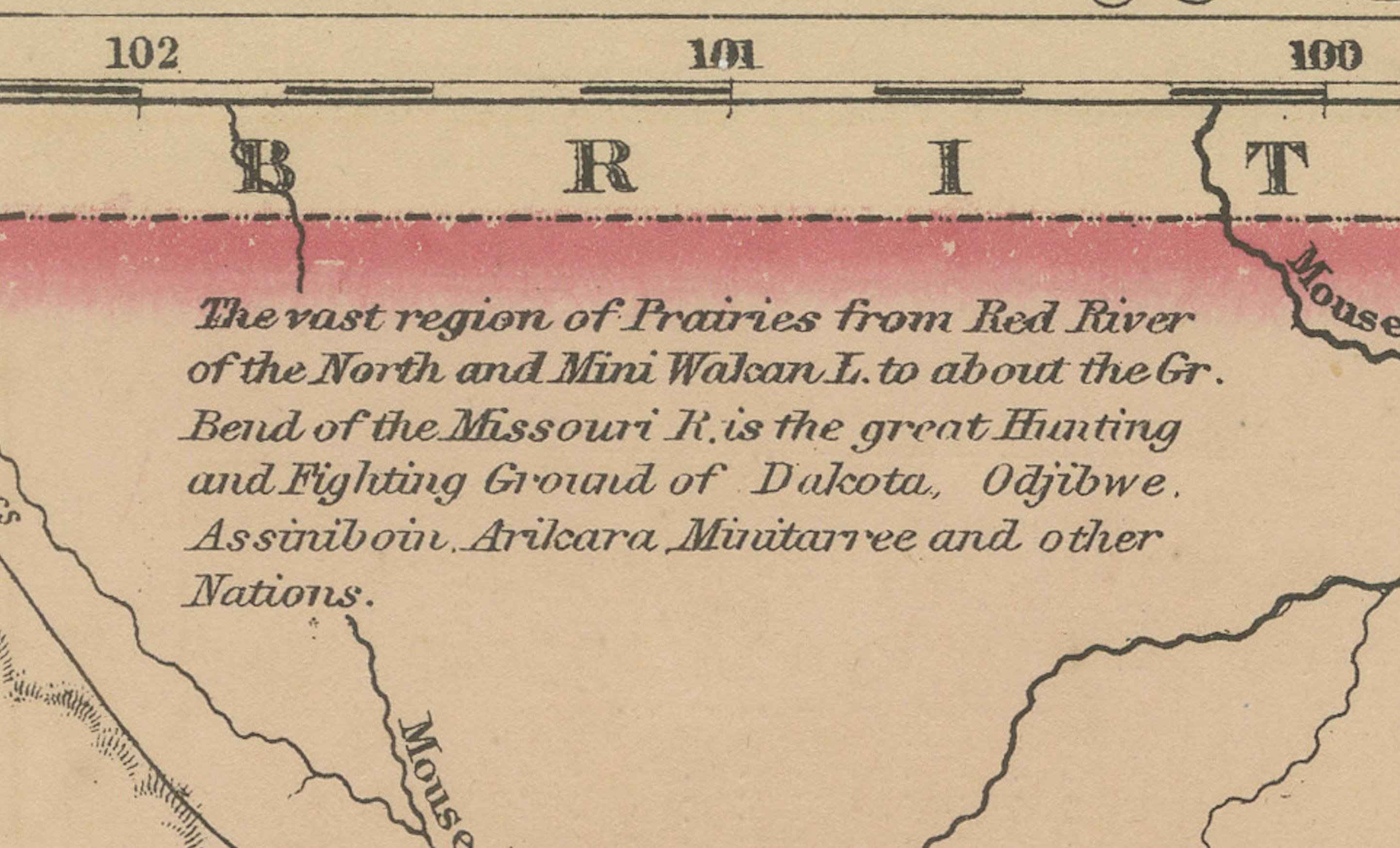 XIX secolo Mappa del Minnesota e del Dakota - Johnson, colorata a mano, USA, 1864 ca. in vendita