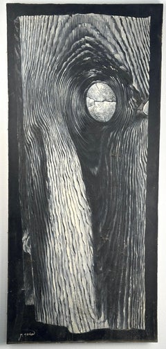 Untitled, Dark Canyon Lake, LaSal Mountains, Utah (Trompe L'oeil)