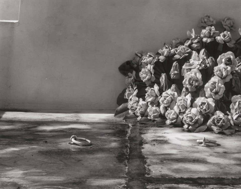 Rings and Roses, Cemetery, Ponce, Puerto Rico, 1973