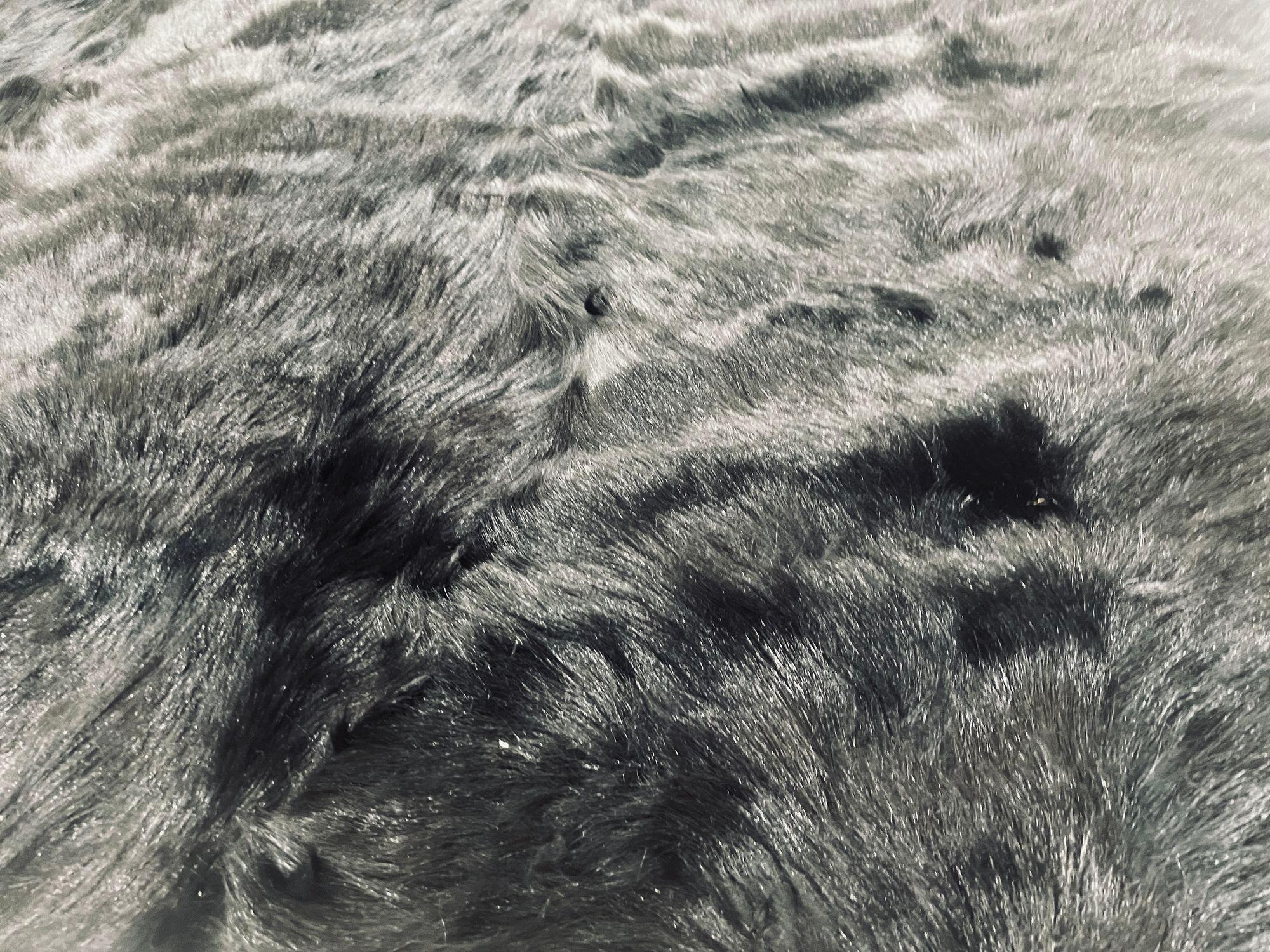 Minotti Alps-Teppich aus schwarzem Schafsfell Italien (21. Jahrhundert und zeitgenössisch) im Angebot