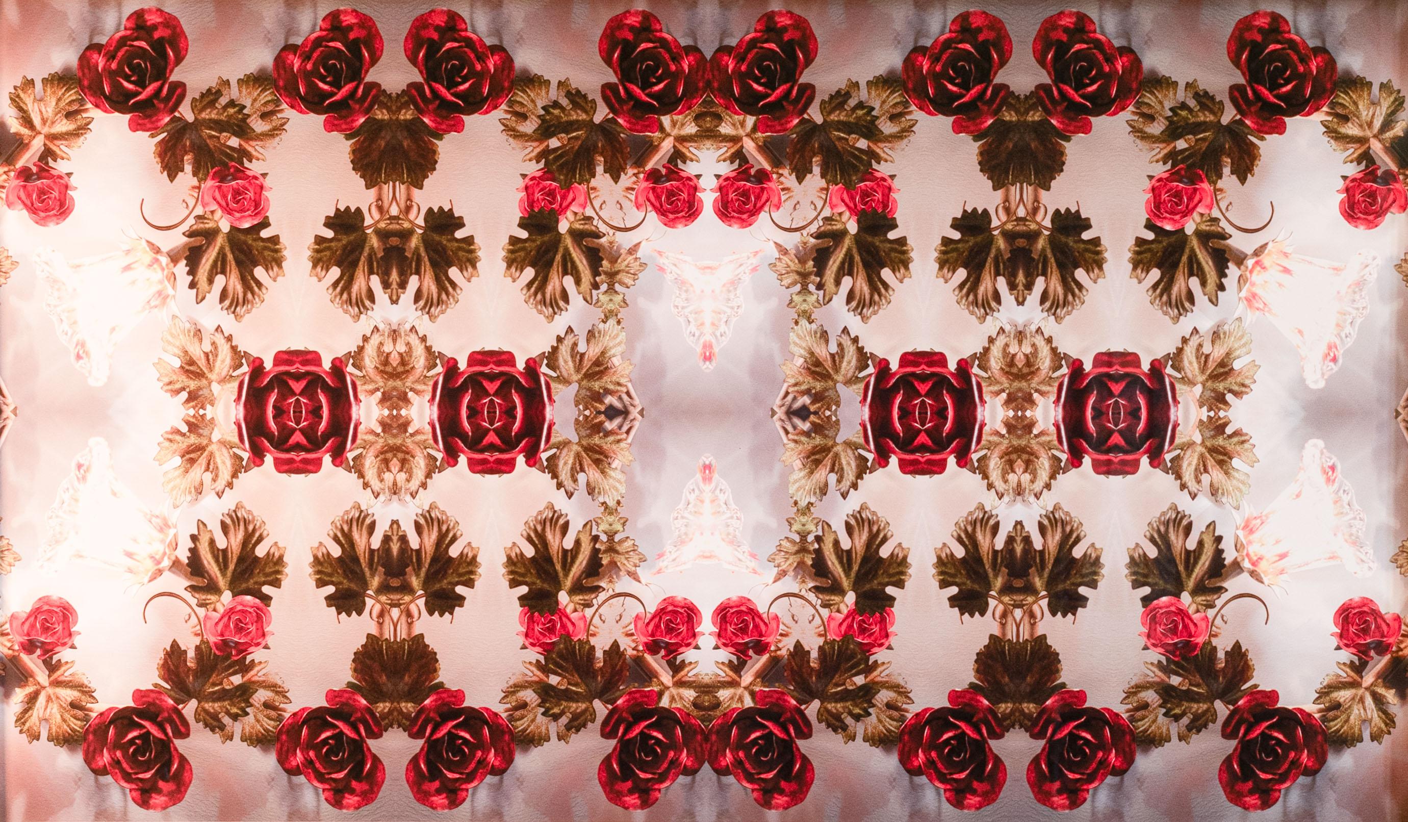 1-Lux – Fotografie Kunst der roten Rosen – Photograph von Minou Delcamposanto