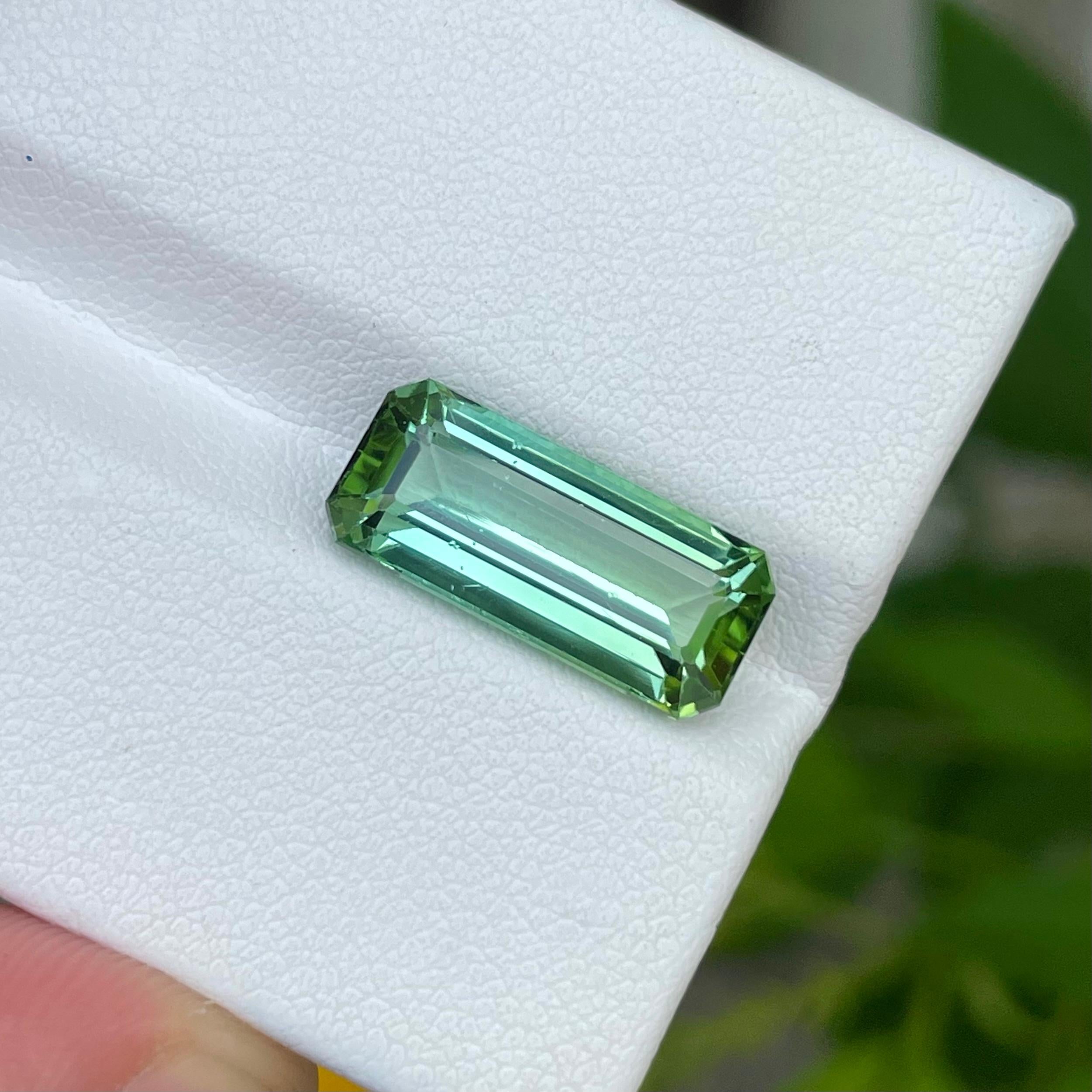 Weight 6.10 carats 
Dimensions 16.5 x 7.2 x 5.8 mm 
Treatment None 
Origin Afghanistan 
Clarity VVS (Very, Very Slightly Included) 
Shape Octagon 
Cut Emerald 




Discover the allure of our Mint Green Tourmaline, a 6.10 carat natural Afghani