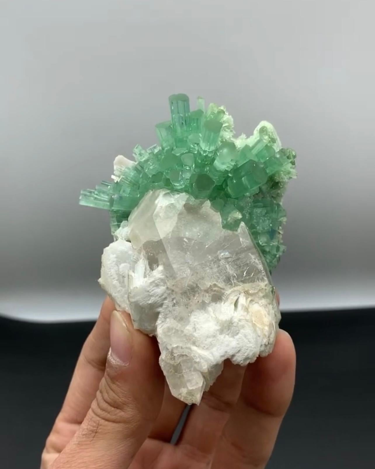 Mint Green Tourmaline Crystal Cluster On Smoky Quartz From Afghanistan For Sale 4