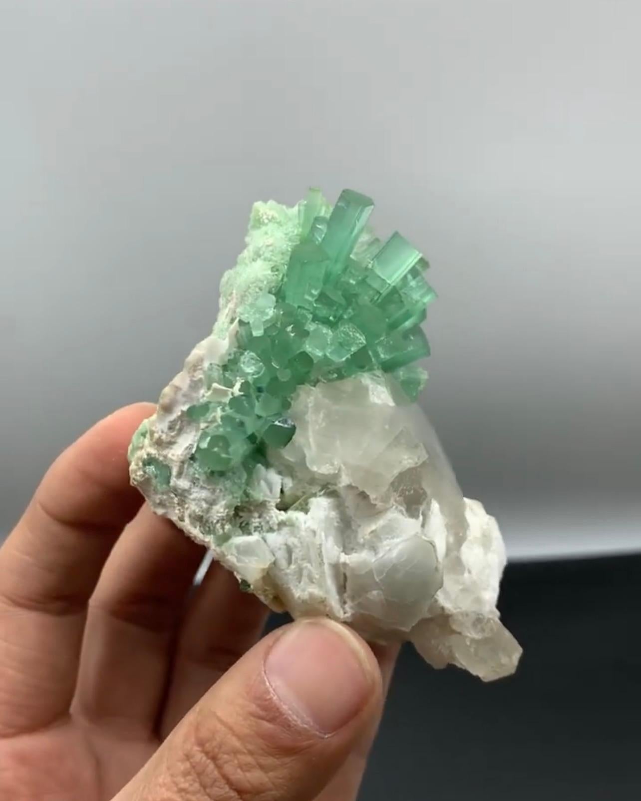 Adam Style Mint Green Tourmaline Crystal Cluster On Smoky Quartz From Afghanistan For Sale
