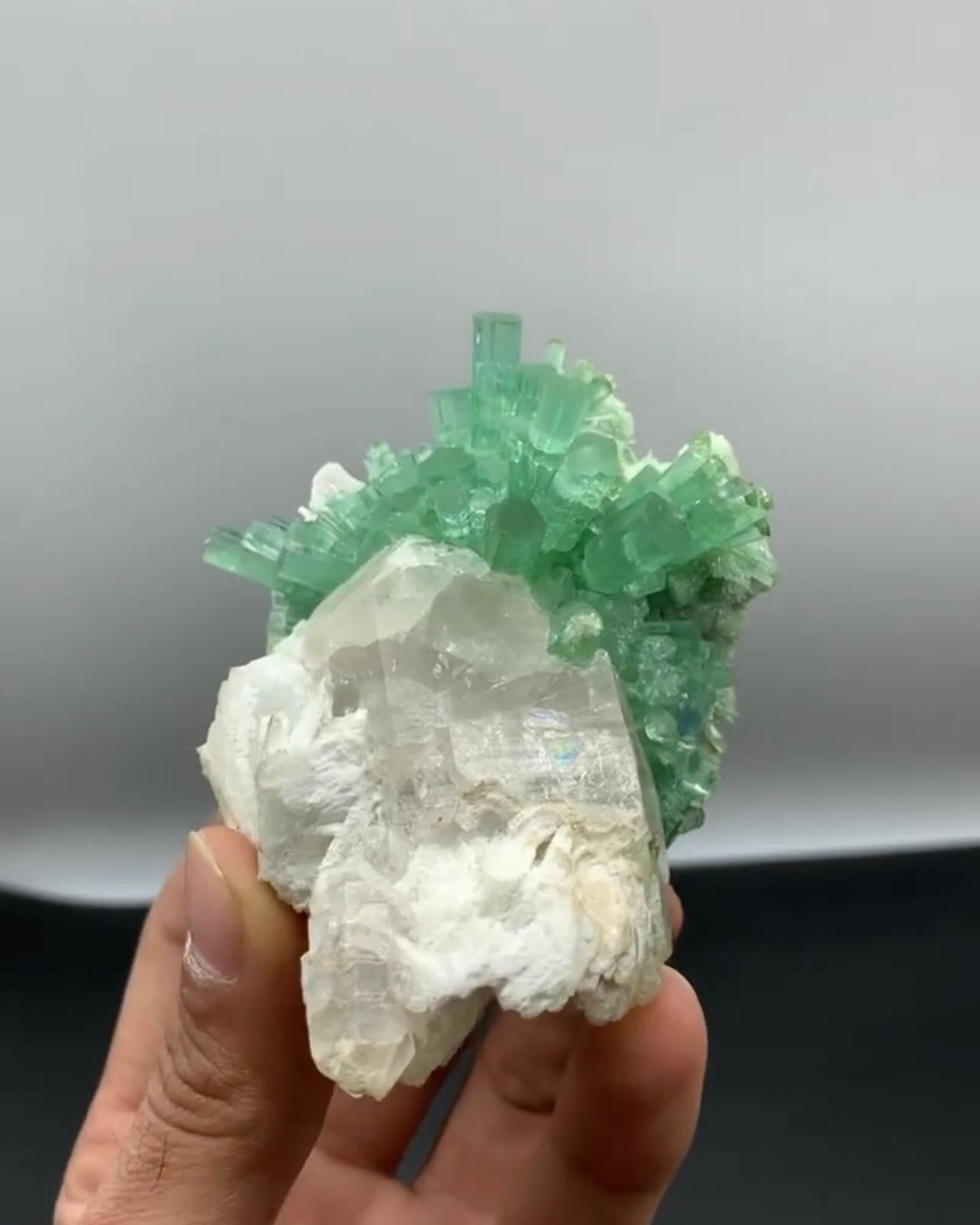 Mint Green Tourmaline Crystal Cluster On Smoky Quartz From Afghanistan In Good Condition For Sale In Peshawar, PK