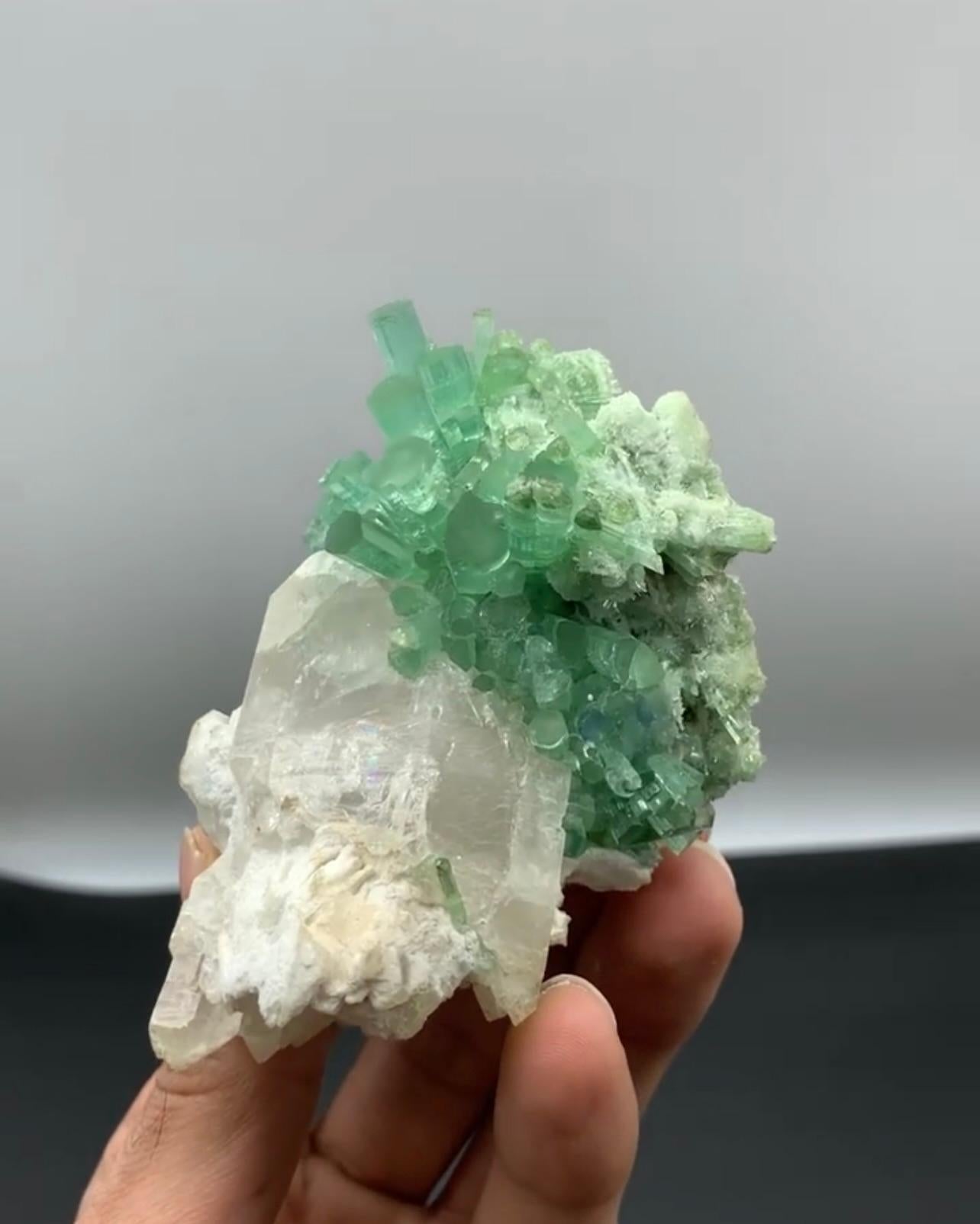 Contemporary Mint Green Tourmaline Crystal Cluster On Smoky Quartz From Afghanistan For Sale