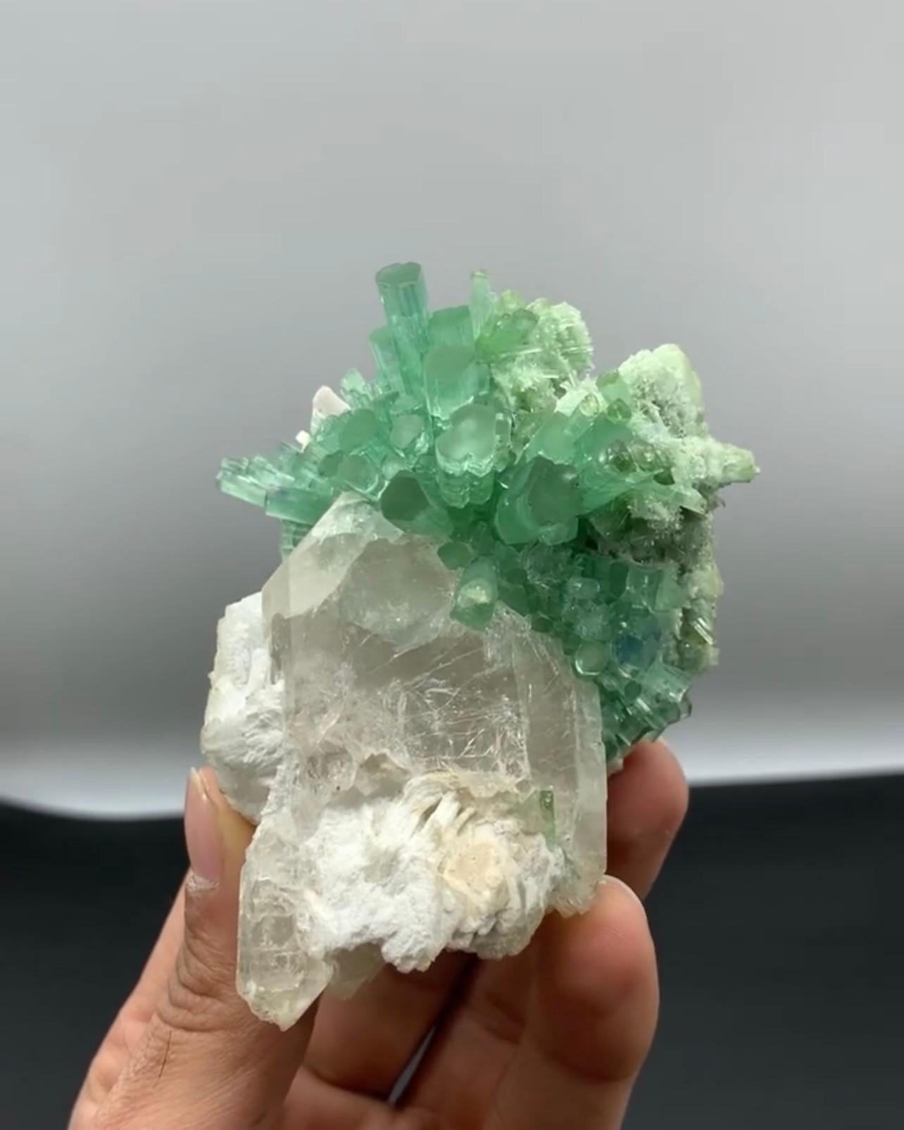 Other Mint Green Tourmaline Crystal Cluster On Smoky Quartz From Afghanistan For Sale