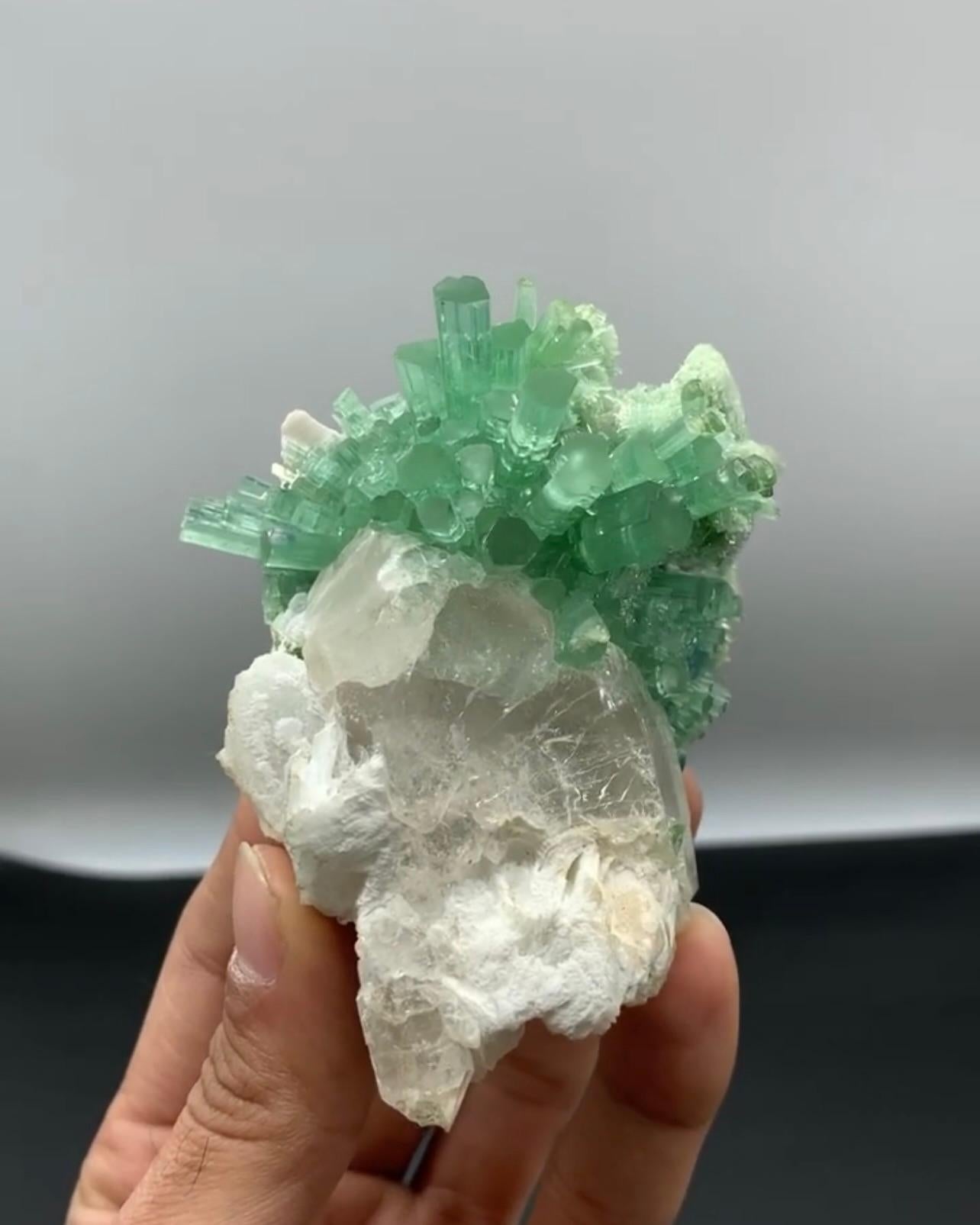 Mint Green Tourmaline Crystal Cluster On Smoky Quartz From Afghanistan For Sale 1