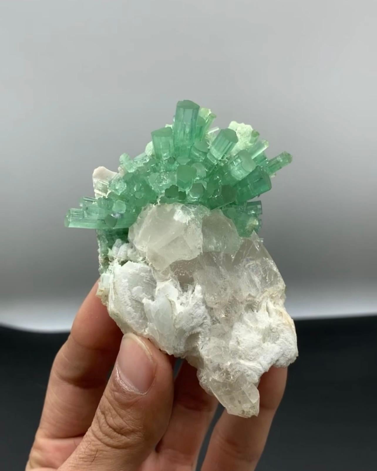 Mint Green Tourmaline Crystal Cluster On Smoky Quartz From Afghanistan For Sale 2