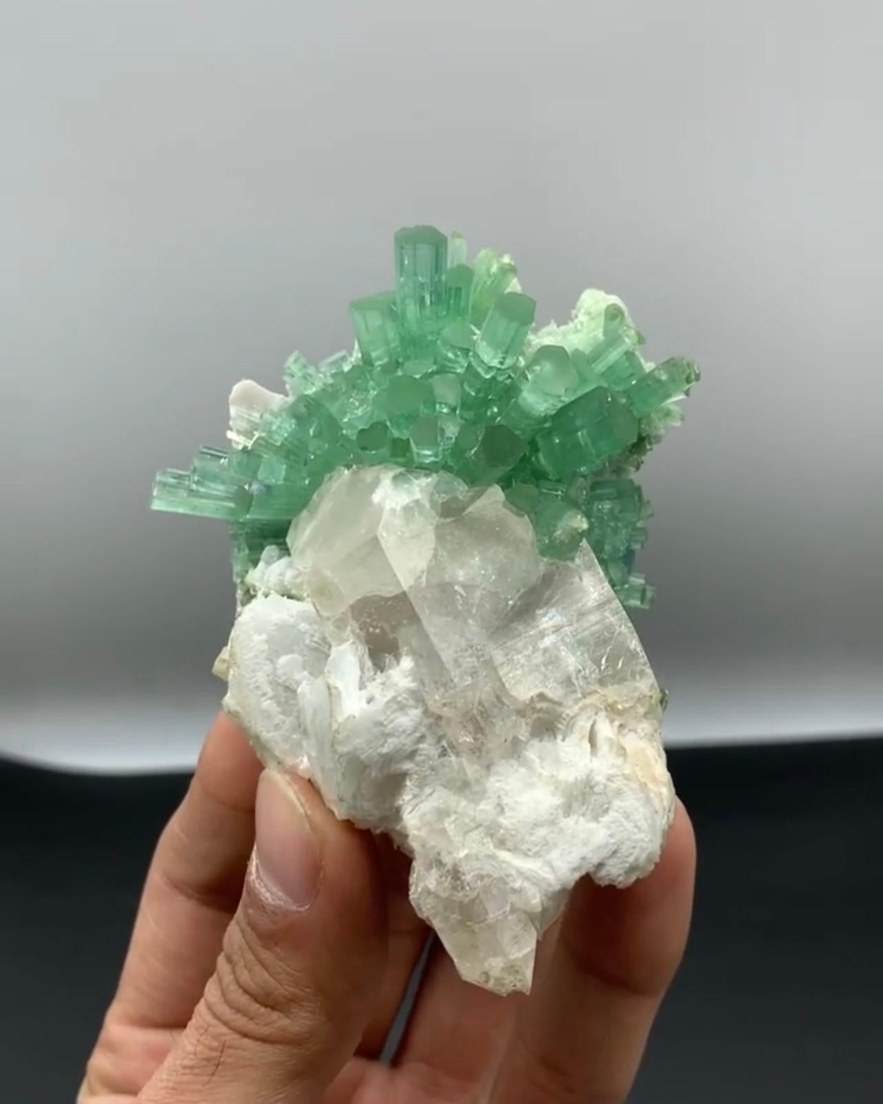 Mint Green Tourmaline Crystal Cluster On Smoky Quartz From Afghanistan For Sale 3