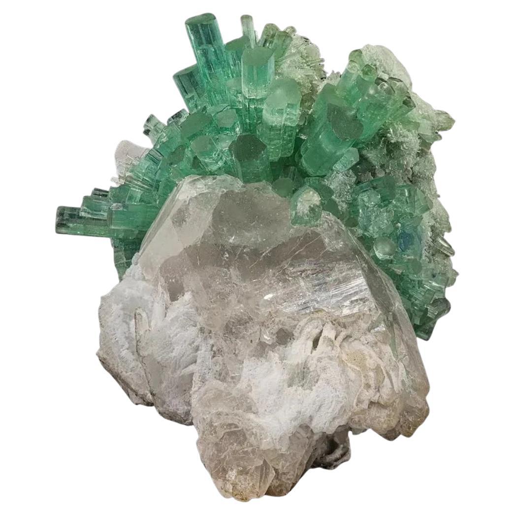 Mintgrüner Turmalin-Kristall-Cluster auf Rauchquarz aus Afghanistan