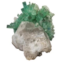 Mintgrüner Turmalin-Kristall-Cluster auf Rauchquarz aus Afghanistan