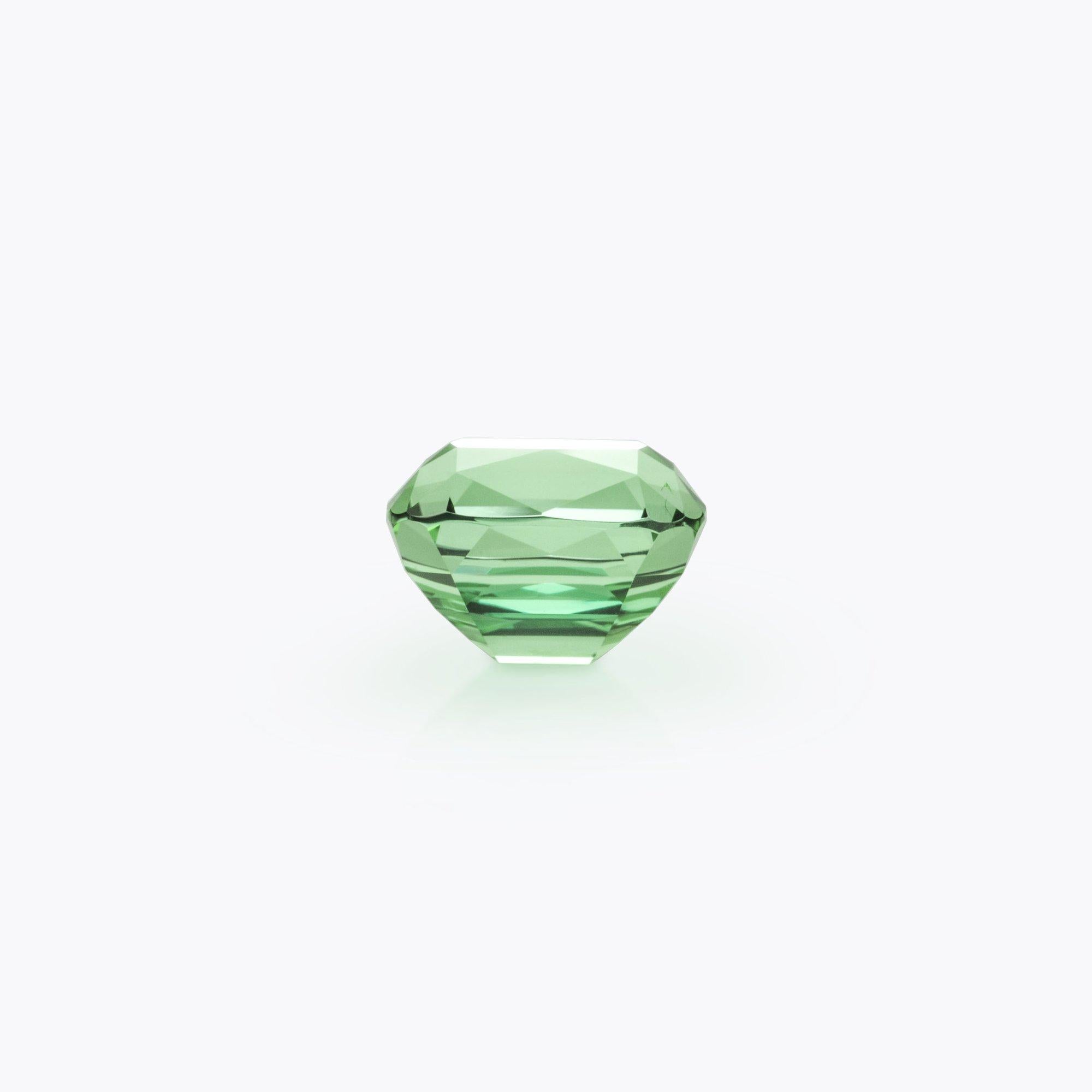 Remarkable 11.23 carat Mint Green Tourmaline cushion gem offered loose to a very precious lady or gentleman.
Dimensions: 13.70 x 11.10 x 9.50 mm.
Returns are accepted and paid by us within 7 days of delivery.
We offer supreme custom jewelry work