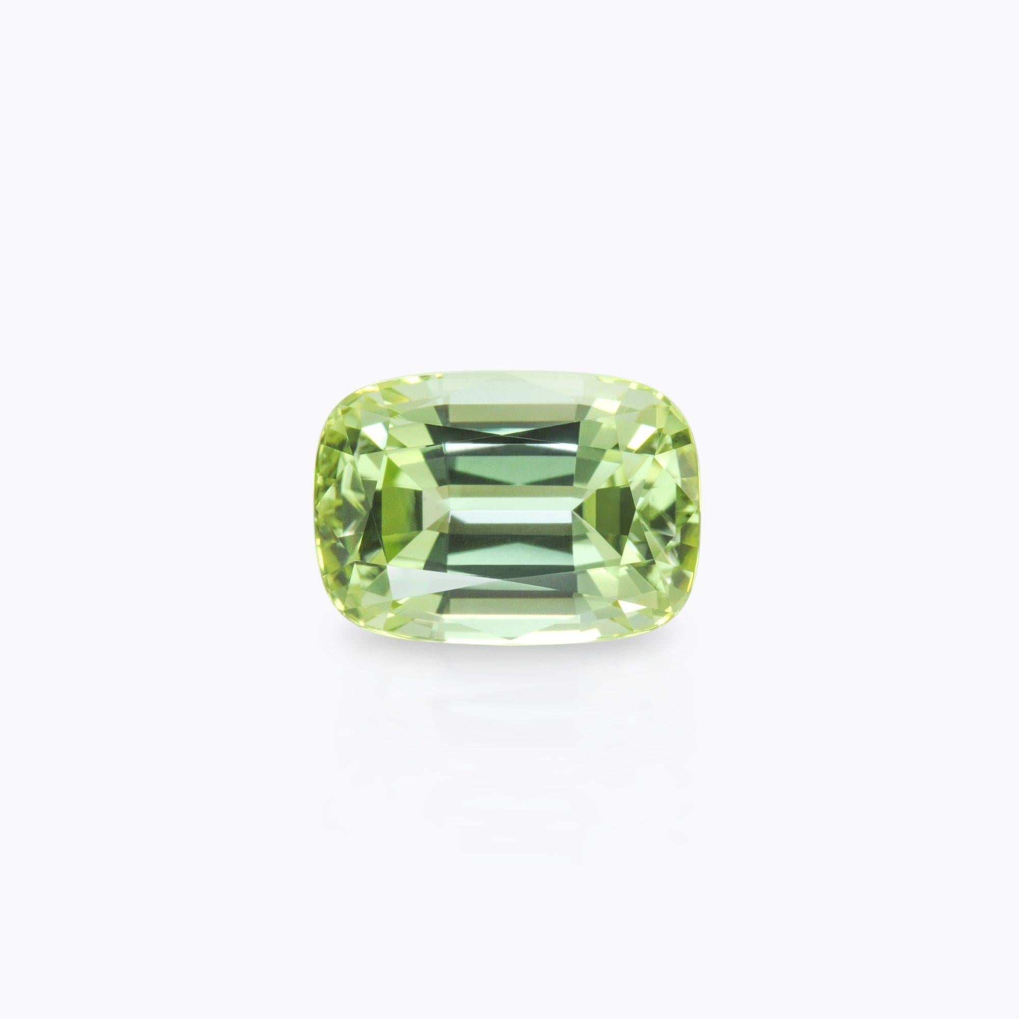 Pristine 5.10 carat Mint Green Tourmaline cushion cut gem offered loose to someone special.
Returns are accepted and paid by us within 7 days of delivery.
We offer supreme custom jewelry work upon request. Please contact us for more details.
(Rings,