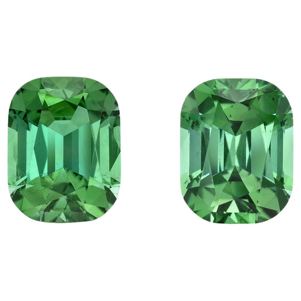 Boucles d'oreilles en tourmaline verte menthe 5,56 carats, pierres précieuses taille coussin