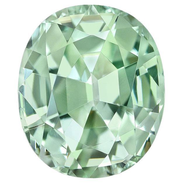 Mintgrüner Turmalin Oval - Seltener Edelstein für Collectors & Custom Jewelry Design (Moderne) im Angebot
