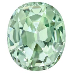 Tourmaline ovale vert menthe - Gemme rare pour les Collectors & The Jewelry Greene/One