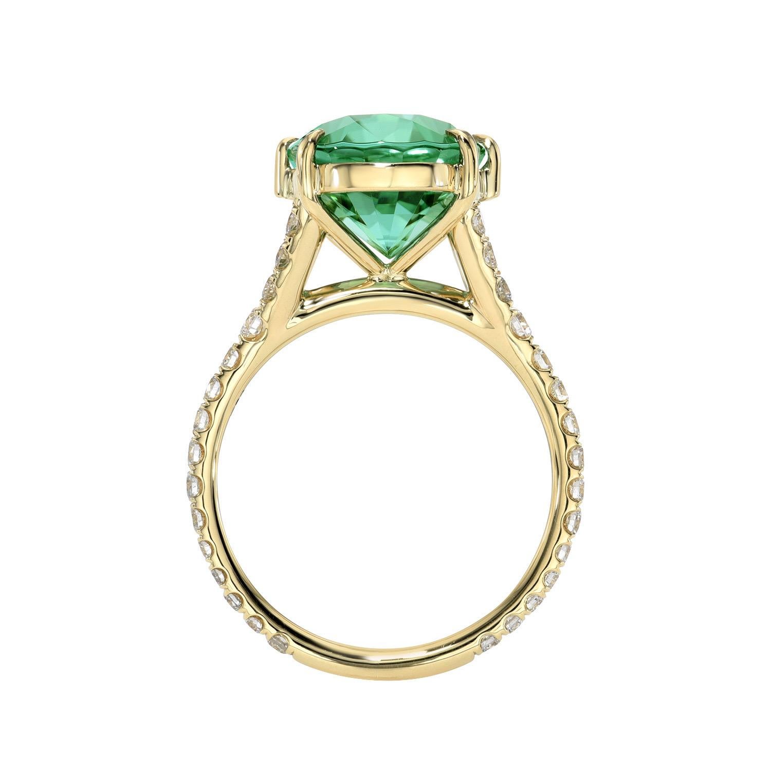 18K yellow gold ring set with a vibrant 6.33 carat Mint Green Tourmaline oval, decorated with a total of 0.61 carat, round brilliant collection diamonds.
Ring size 6. Resizing is complementary upon request.
Crafted by extremely skilled hands in the