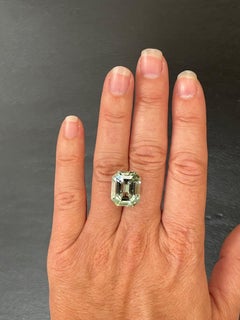 Mint Green Tourmaline Ring Gem 13.77 Carat Emerald Cut Loose Gemstone