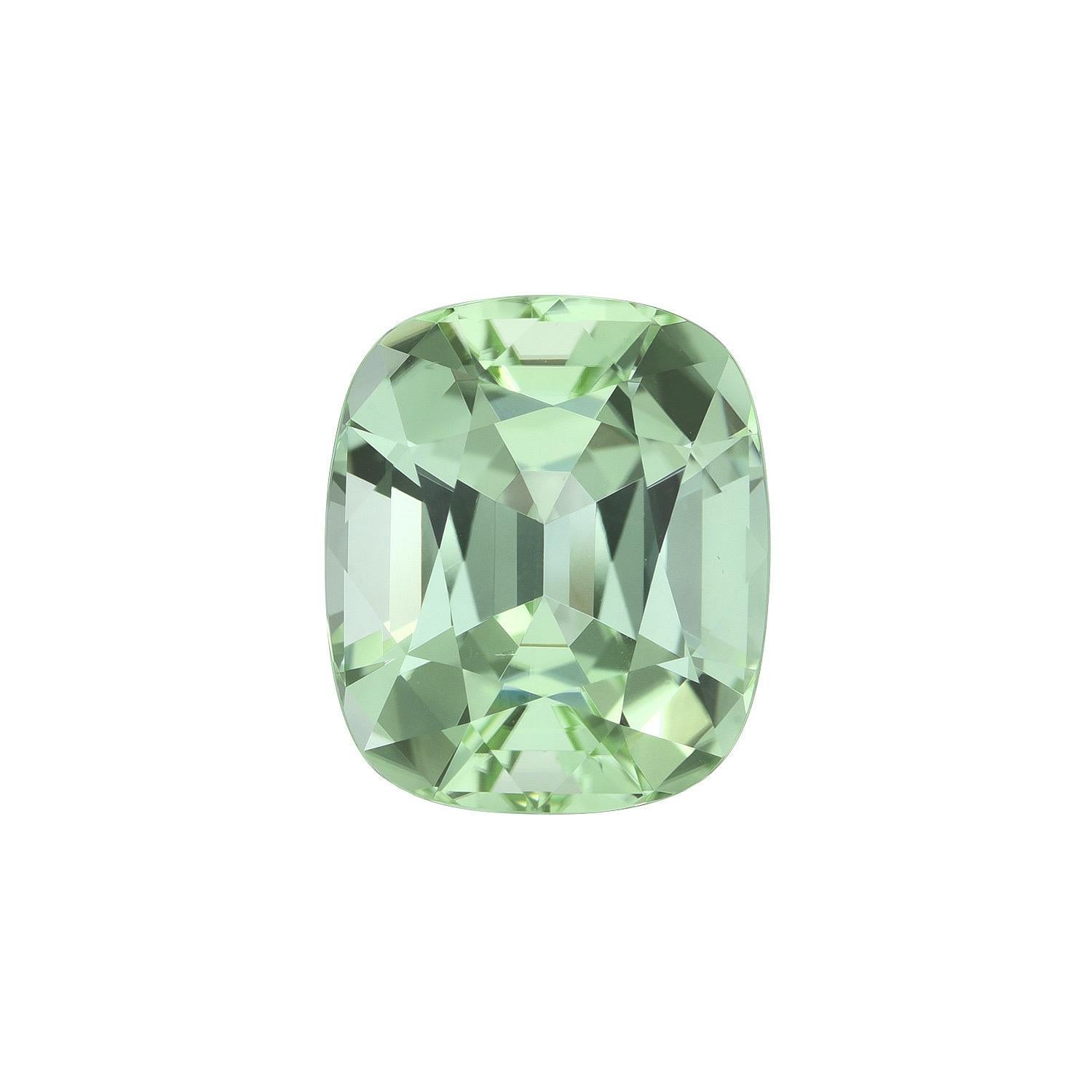 Pristine 7.68 carat Mint Green Tourmaline cushion loose gemstone, offered unmounted to a fine gem lover.
Dimensions: 13 x 11.1 x 8.1 mm.
Returns are accepted and paid by us within 7 days of delivery.
We offer supreme custom jewelry work upon