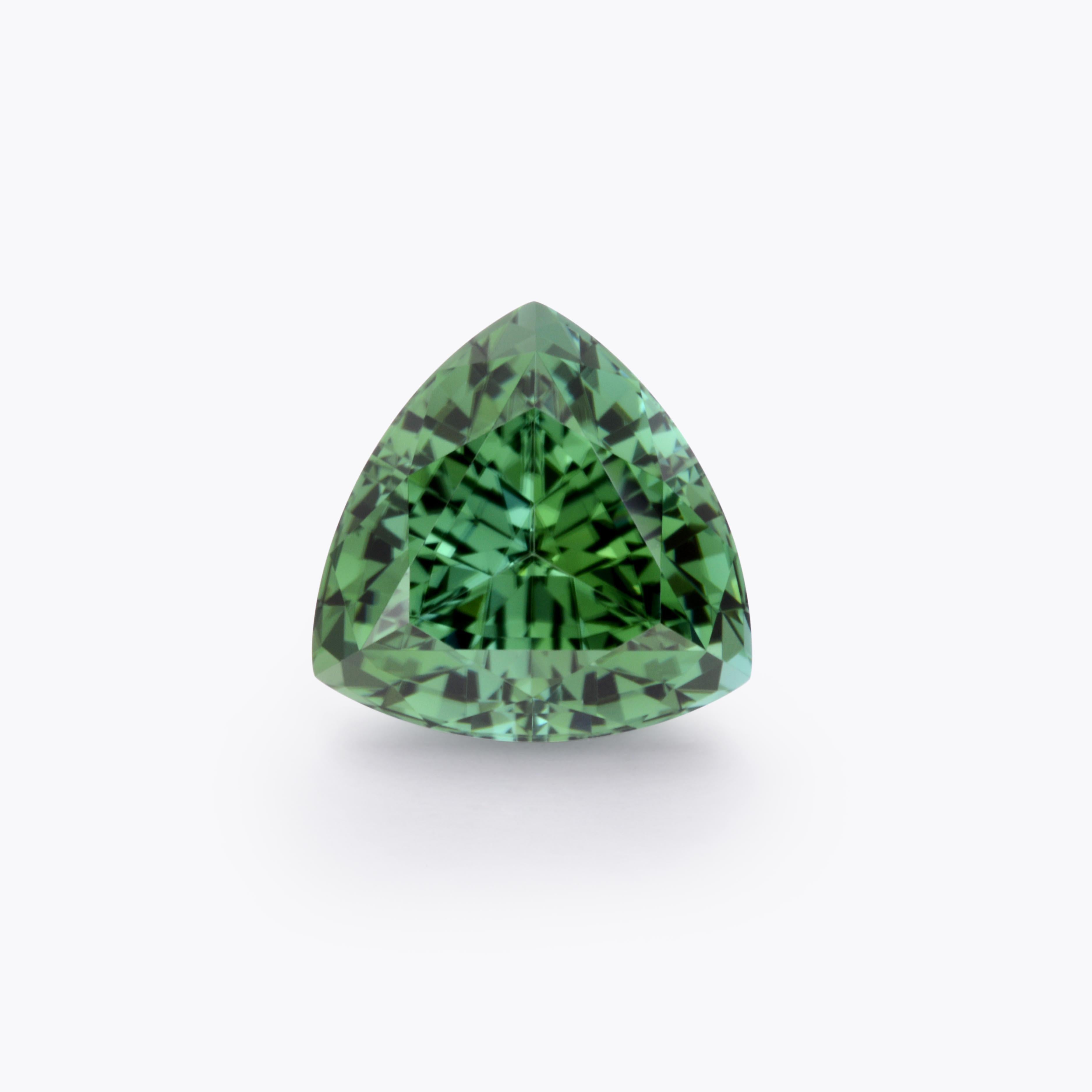 Exquisite 7.86 carat Mint Green Tourmaline trillion shaped gem, offered unmounted to a very unique lady or gentleman.
Dimensions: 12.6 x 12.6 x 8.7 mm.
Returns are accepted and paid by us within 7 days of delivery.
We offer supreme custom jewelry