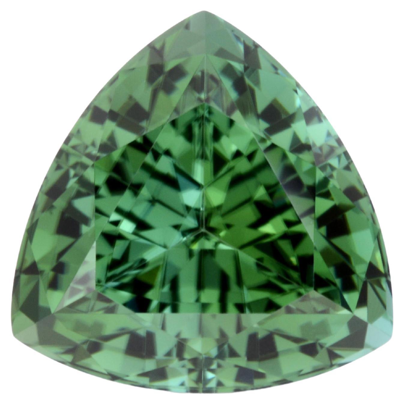 Mint Green Tourmaline Ring Loose Gemstone 7.86 Carat Unmounted Trillion For Sale