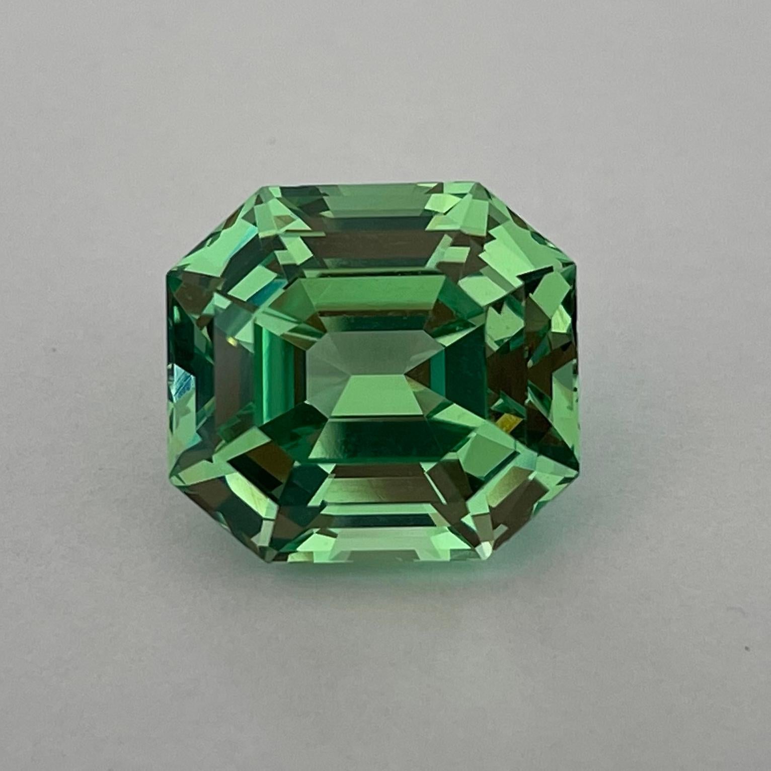 Mint Grossular ist eine Sorte aus der Familie der Granate. Dieser Edelstein wurde in Tansania gefunden und in eine saubere achteckige Form geschliffen. Granate sind in der Regel eingeschlossen, kleine Unvollkommenheiten, die während des Wachstums