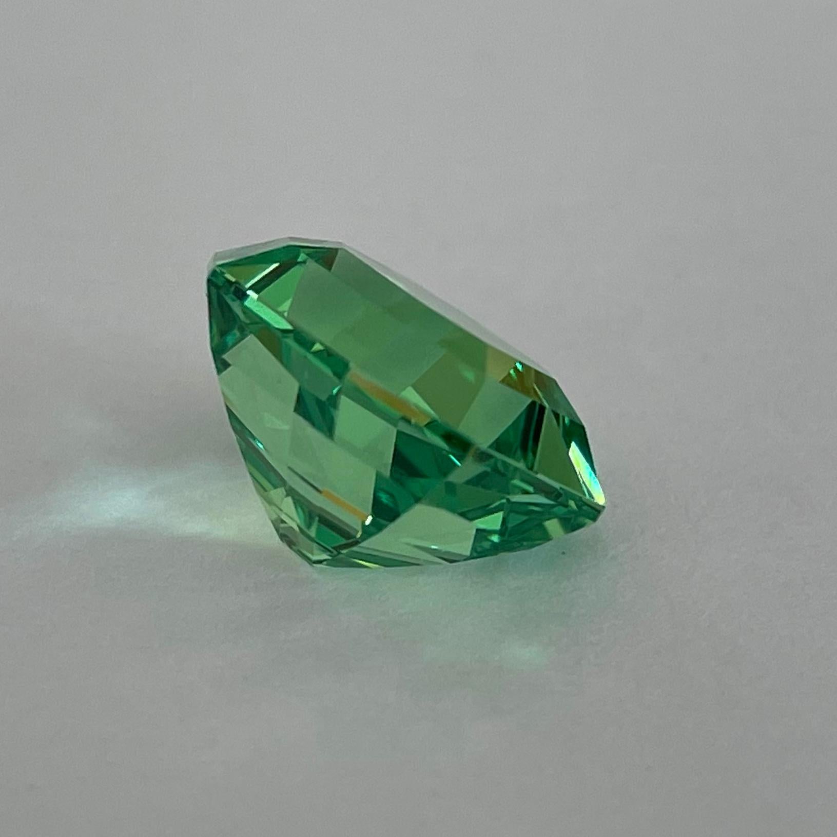 Mint Grossular, 9,84 Karat, Tansania im Zustand „Neu“ in Heimberg, CH