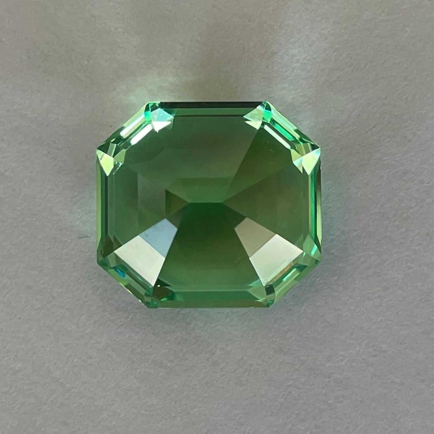 Mint Grossular, 9,84 Karat, Tansania für Damen oder Herren