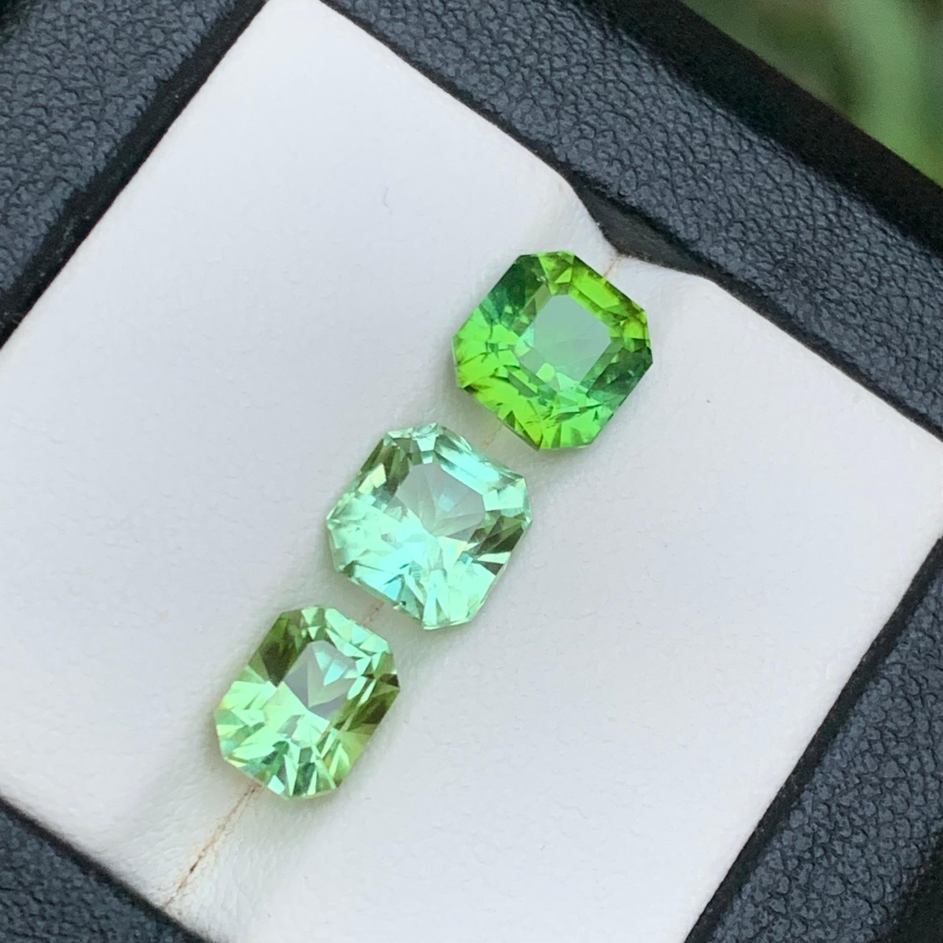 💎 TYPE DE PIERRE PRÉCIEUSE : Tourmaline
⚖️ POIDS : 6,84 Carats
🪚 SHAPE & CUT : Coupe coussin
📏 TAILLE (MM) : 
2,56 Ct (7,39 x 7,09 x 6,19)
2,24 Ct (7,42 x 7,10 x 5,81)
2,04 Ct (7,32 x 5,66 x 6,17)
🌈 COLOR : Mint & Light Green
🔎 CLARITÉ :