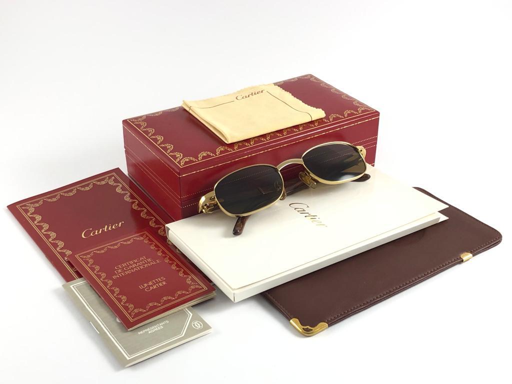 Lunettes de soleil vintage Cartier Camarat Wood 49mm Platine Precious Wood couleur menthe  en vente 8
