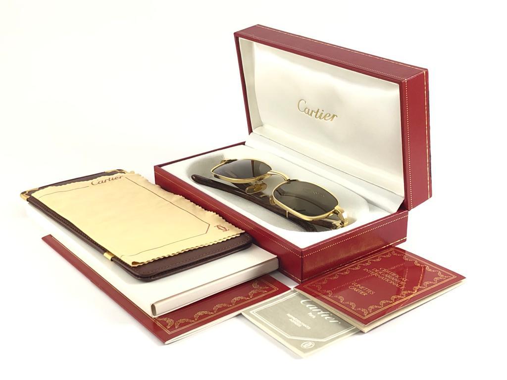 Lunettes de soleil vintage Cartier Camarat Wood 49mm Platine Precious Wood couleur menthe  en vente 10