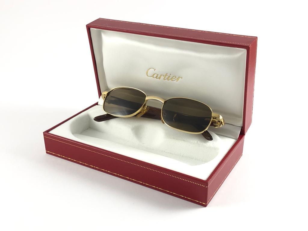 Lunettes de soleil vintage Cartier Camarat Wood 49mm Platine Precious Wood couleur menthe  Excellent état - En vente à Baleares, Baleares