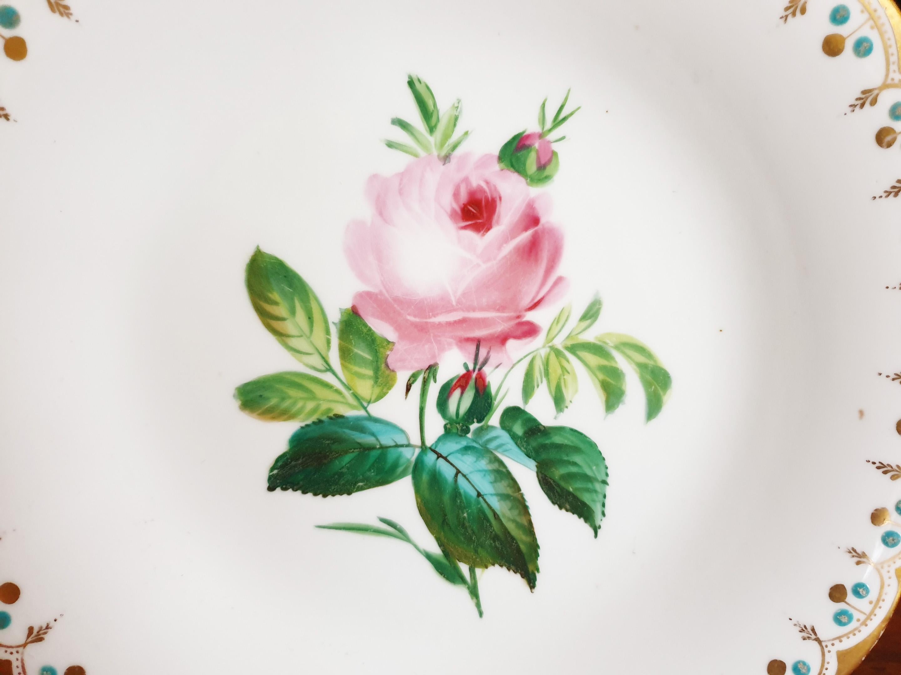 A beautiful Botanical display cabinet plate by Minton featuring a pink rose in all its glory with fresh green and vibrant leaves. The plate has an intricate opulent gilt rim design enclosing a superb ring of distinctively Minton turquoise jewelling.