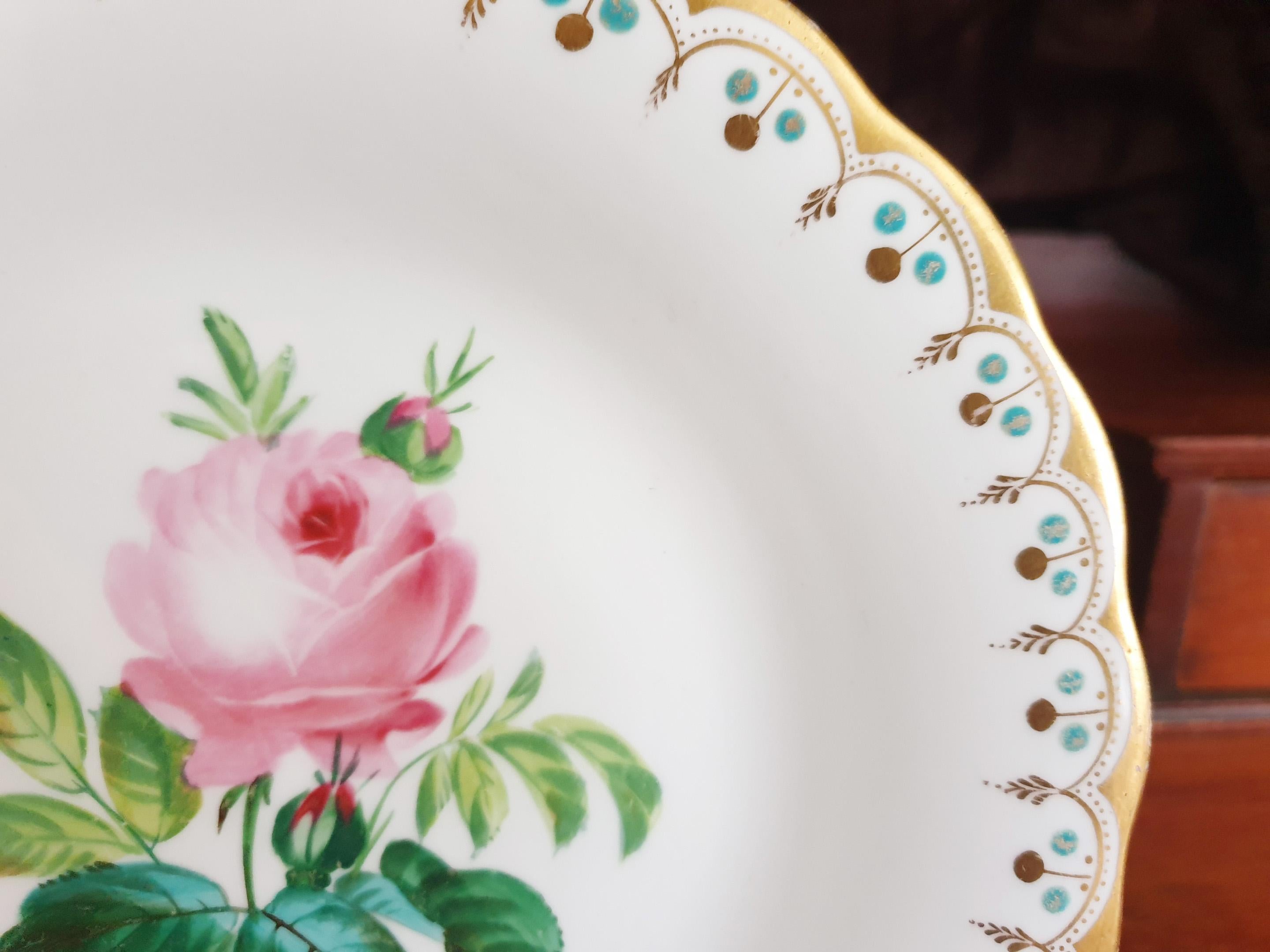 Hand-Painted Minton 19th Century Hand Painted Botanical Display Cabinet Plate For Sale