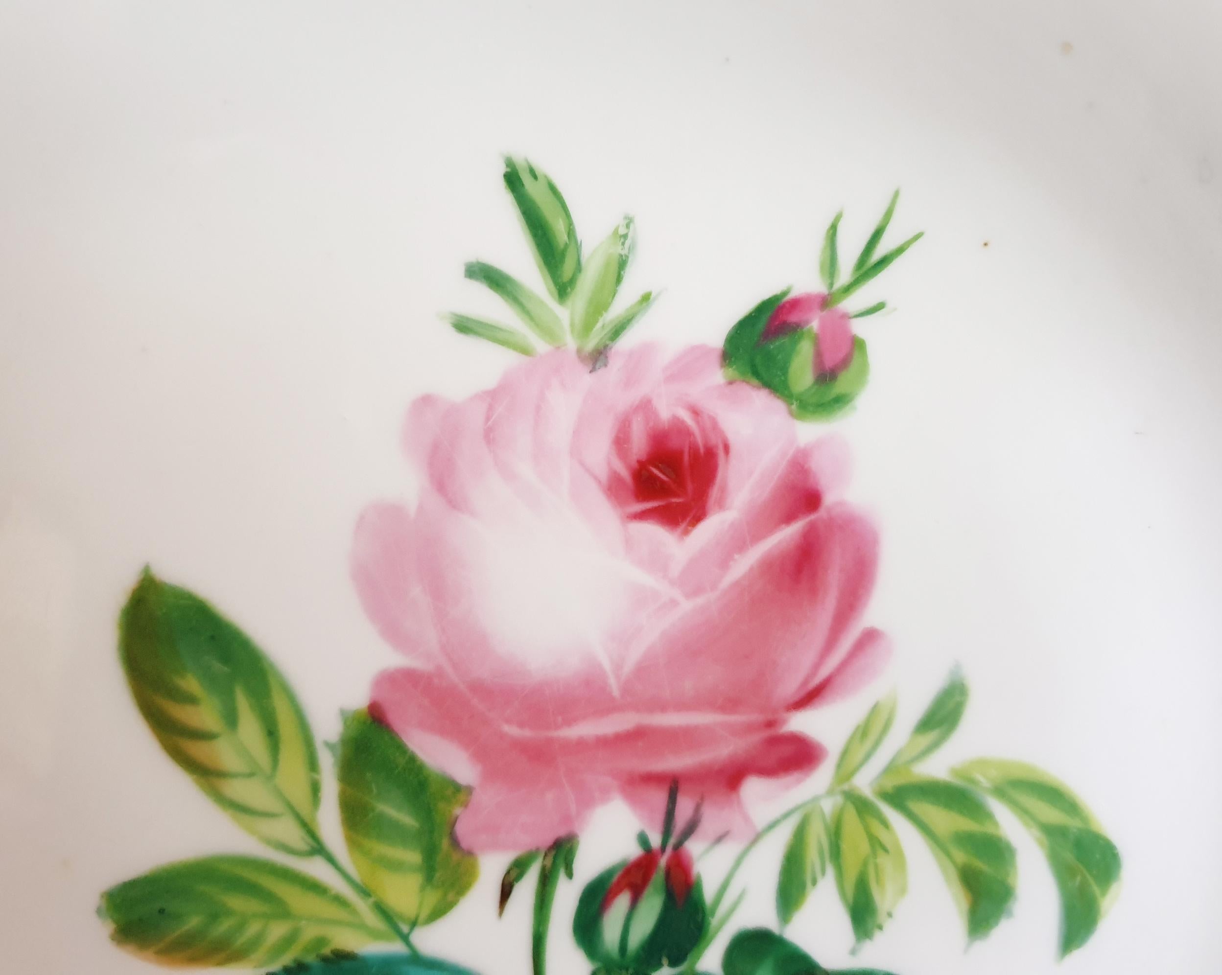 Minton 19th Century Hand Painted Botanical Display Cabinet Plate In Good Condition For Sale In London, GB