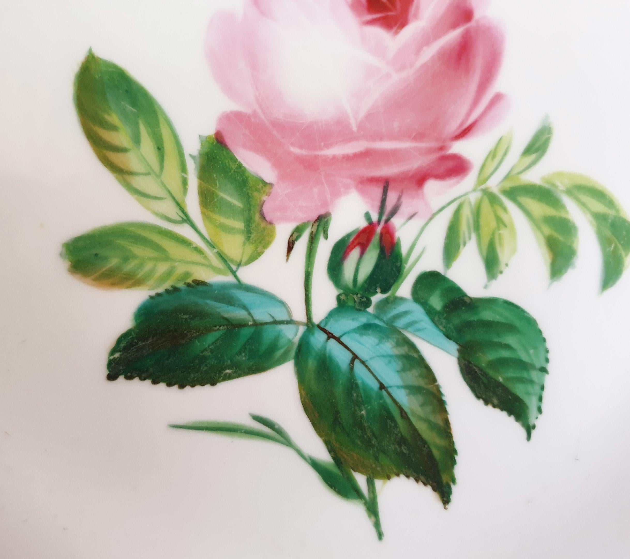 Porcelain Minton 19th Century Hand Painted Botanical Display Cabinet Plate For Sale