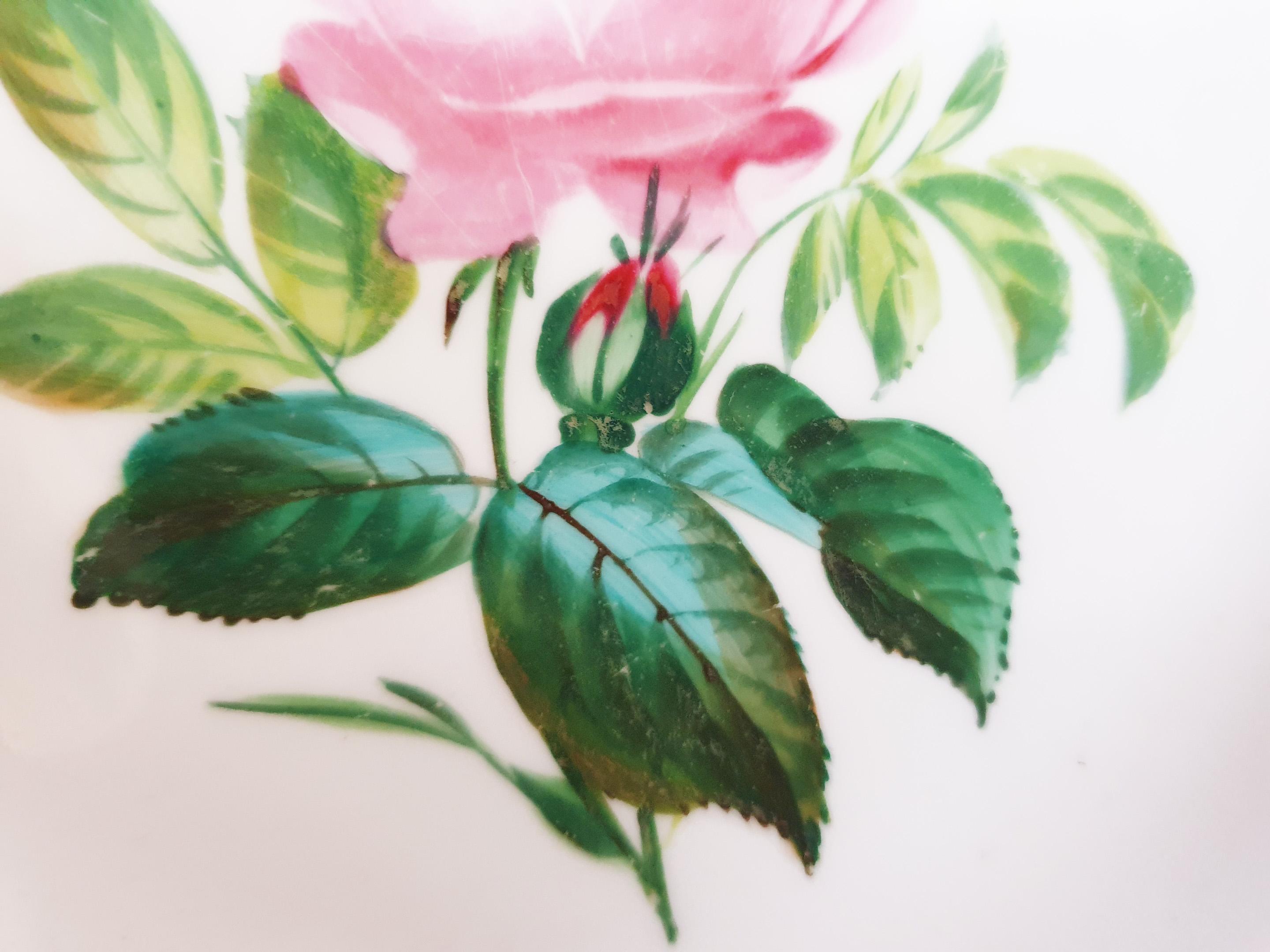 Minton 19th Century Hand Painted Botanical Display Cabinet Plate For Sale 1
