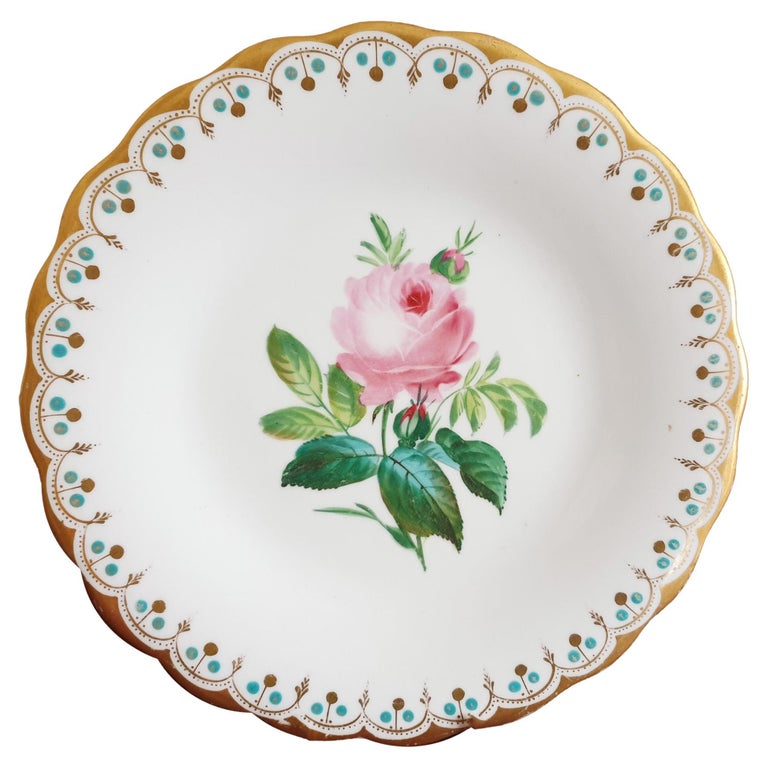 Minton 19th Century Hand Painted Botanical Display Plate For