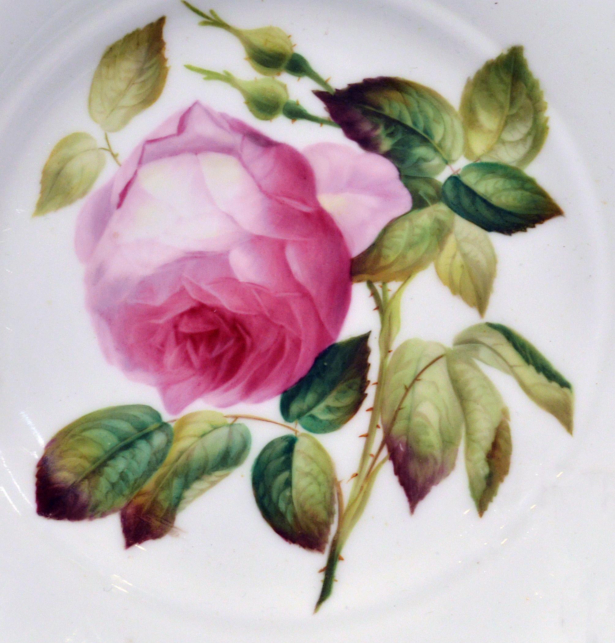 Minton Bone China porcelain botanical specimen plate of a rose,
Pattern #9762,
circa 1850

The fine Minton Bone China plate depicts a specimen of a rose named on the reverse. The plate with excellent gilding and openwork in six places on the