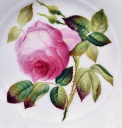 Minton Bone China Porcelain Botanical Specimen Plate of a Rose, Pattern #9762