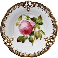 Plato de porcelana de hueso Minton Botanical Specimen Plate of a Rose, Patrón nº 9762