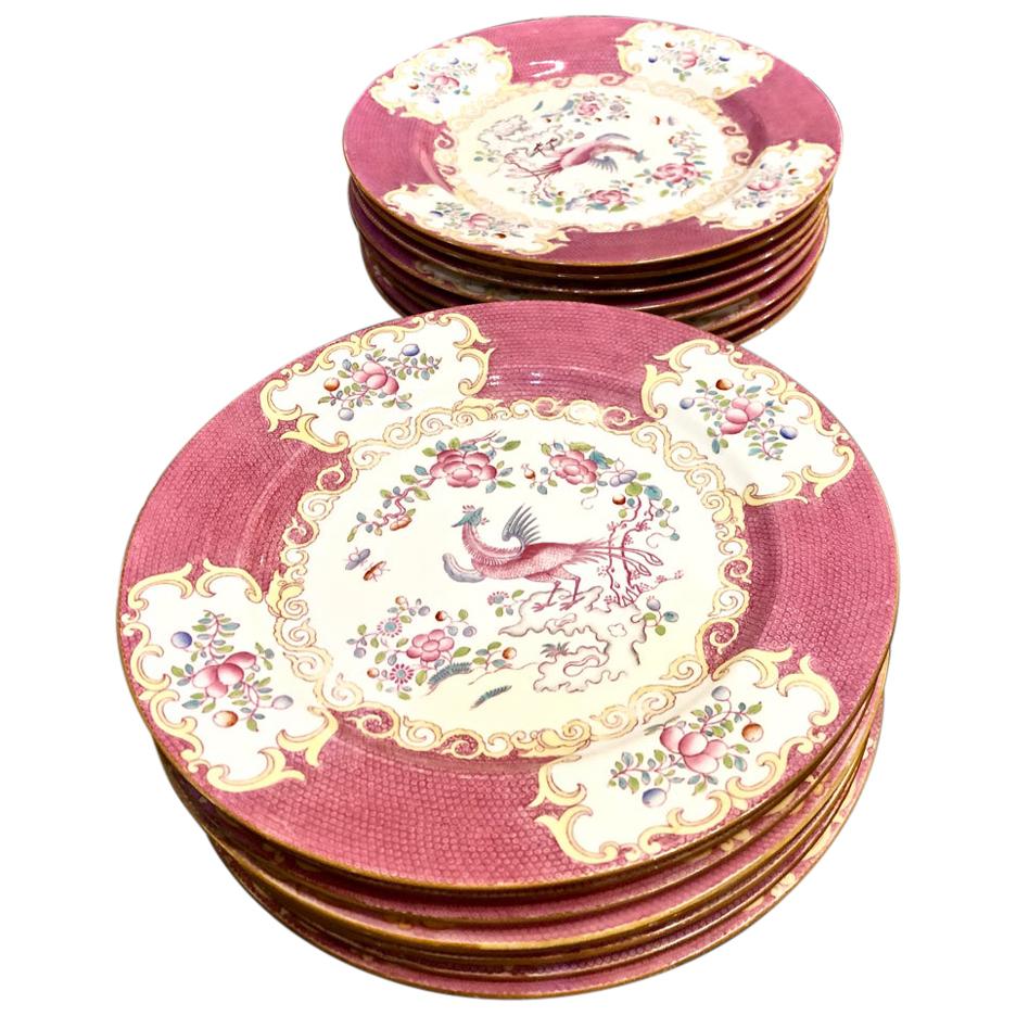 Minton "Cockatrice" Dinner Plates in Pink