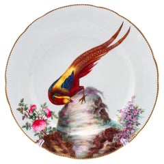 Minton Fine Porcelain Hand-Painted Exotic Bird Cabinet Plate 19th Century
